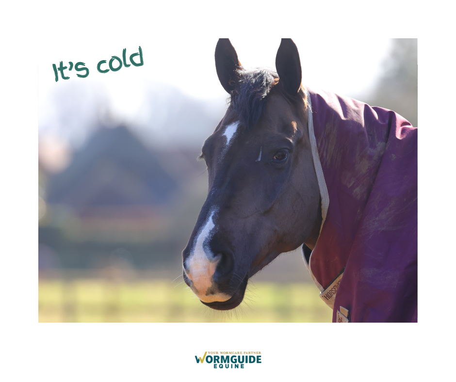 can you worm horses with tobacco De-Worming Tobacco Hornworm (Accoutrements) - Animal