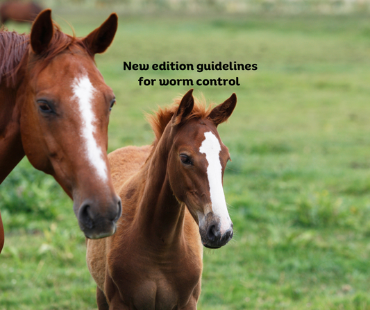 Worm Control for horses : New 2024 revised best practice worm control guidelines