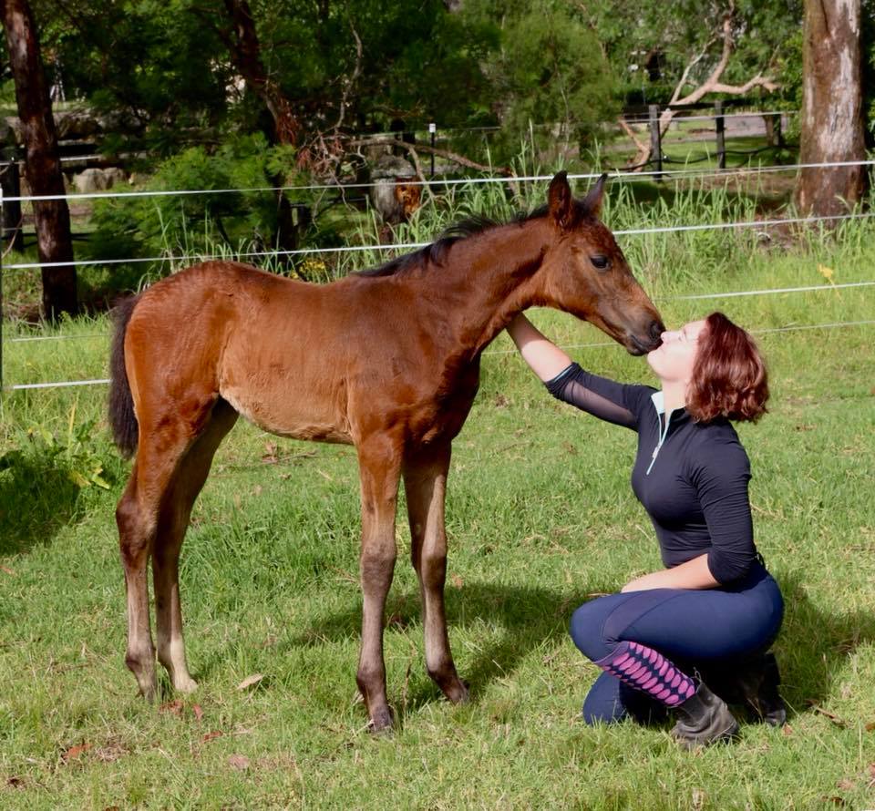 Send us pics of your horse babies!