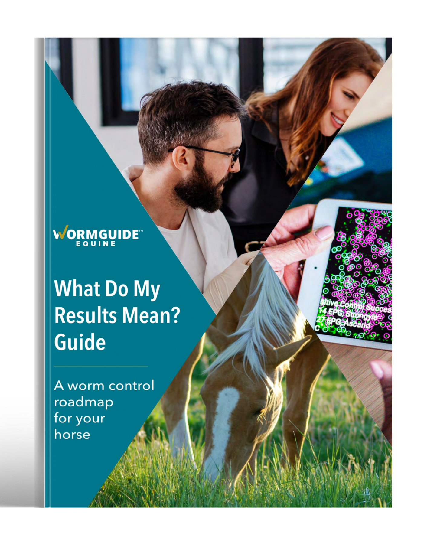 What does 200 epg mean horse worms fecal egg counts