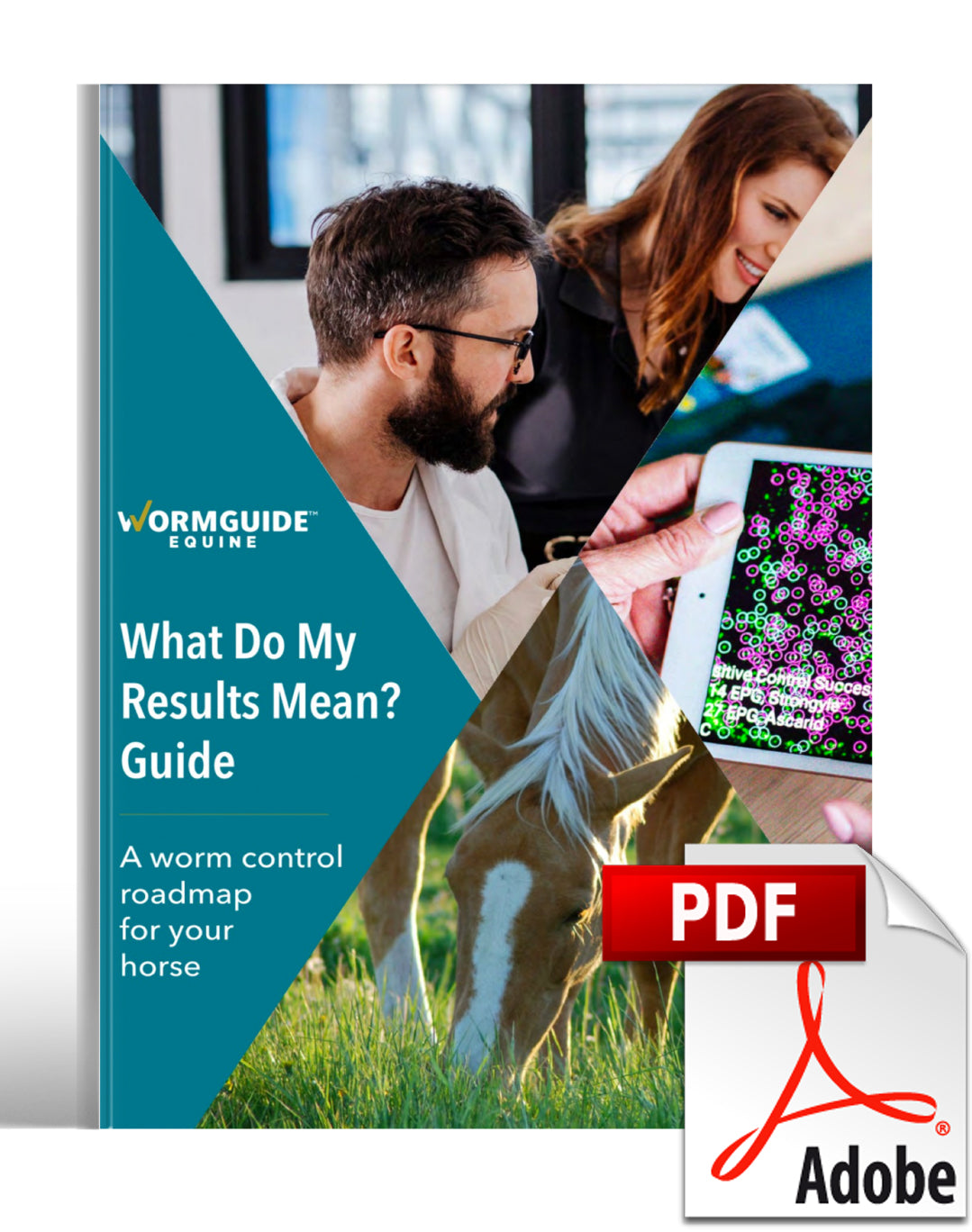A guide to worming horse a guide to Faecal worm egg counts