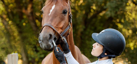 a woman treating well her horse