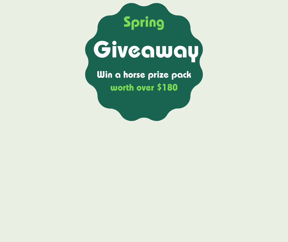 Spring Giveaway Terms and Conditions